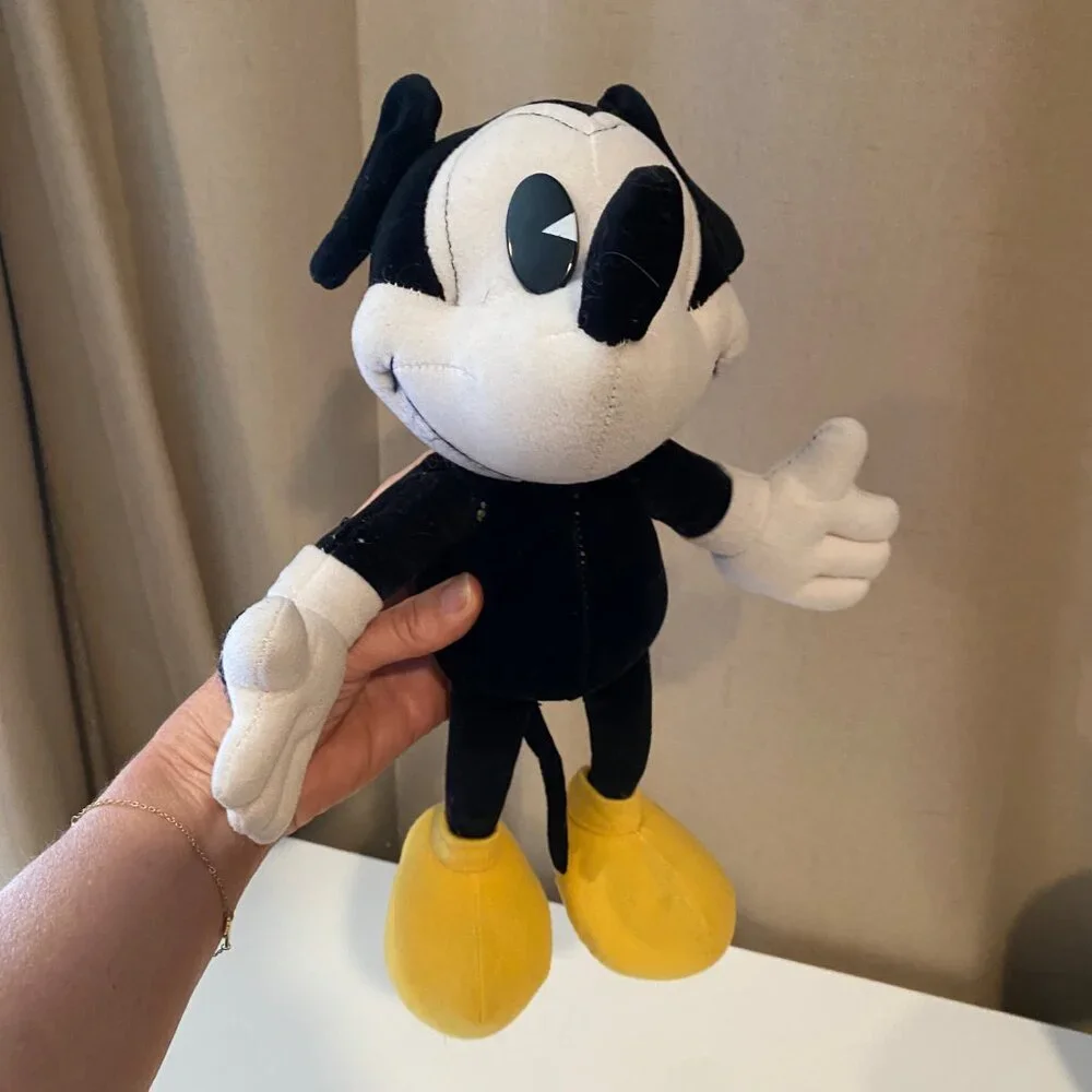 Disney bring home